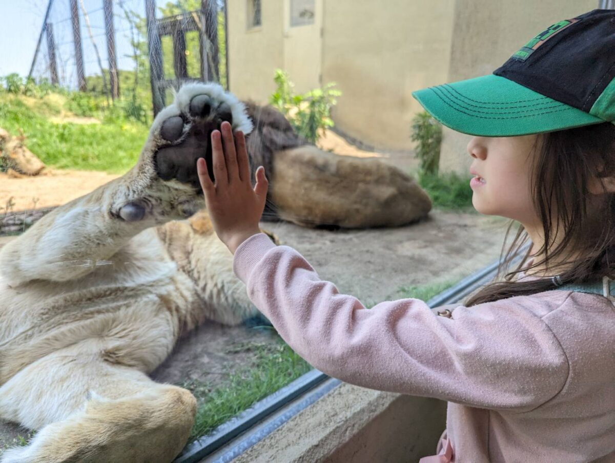 長野市　茶臼山動物園