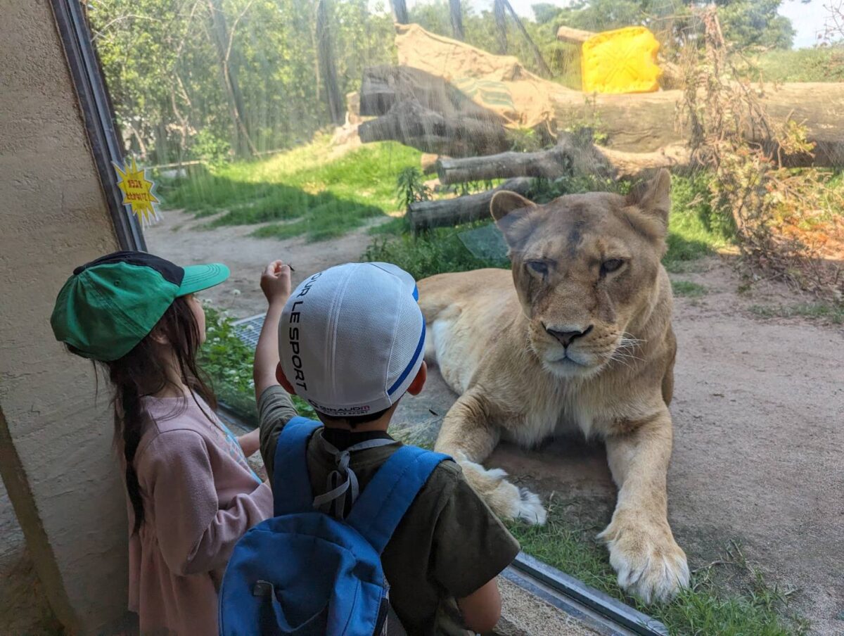 長野市　茶臼山動物園