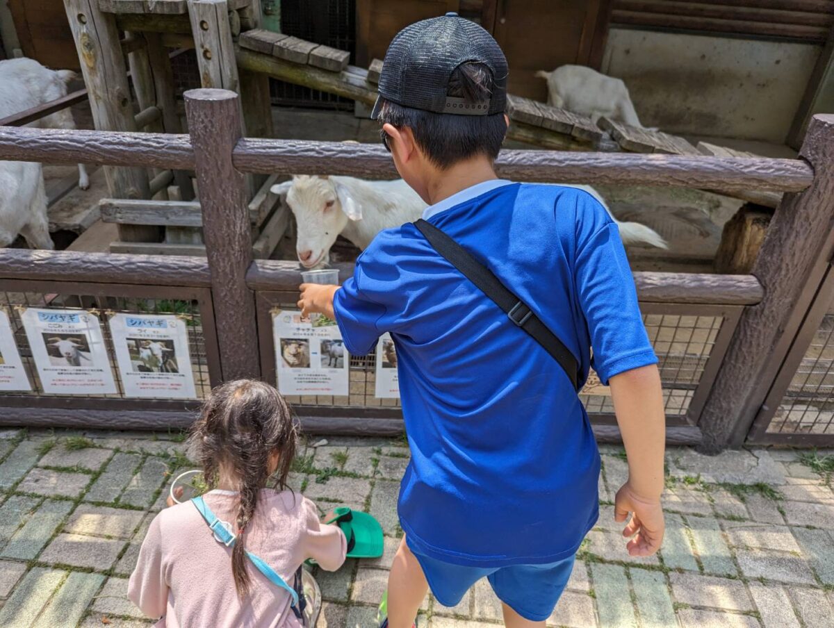 長野市　茶臼山動物園